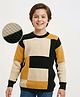 Arias Knitted Full Sleeves Pullover Sweater With Color Block Design - Multicolor