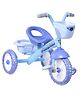 Dash Kids Tricycle with Front & Rear Baskets, Comfortable Seat & Anti-Slip Pedals | Lightweight 3-Wheel Cycle for Boys & Girls