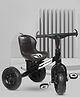 Dash Kids Tricycle with Rubber Wheels, Non-Slip Pedals & Handle, Comfortable Seat | Toddler Tricycle for Boys & Girls (Black)