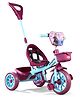 Babyhug Disney Mickey Kids Tricycle with Parental Push Handle- Sea Green & Purple| Antislip Pedals| Puncture Proof Wheels| Easy Assembling| Foldable Footrest| Toy for 2 to 5 year| Gifting Option