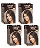 Color Mate Hair Color Cream 65 ml-Dark Brown CMHC-003 (Pack of 4)