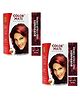 Color Mate Hair Color Cream 130 ml-Burgundy CMHC-010 (Pack of 2)