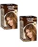Color Mate Hair Color Cream 130 ml-Golden Brown CMHC-013 (Pack of 2)