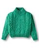 Wingsfield Full Sleeves Cable Knit Sweater - Green