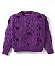 Wingsfield Full Sleeves Cable Knit Pom Pom Embellished Sweater - Purple
