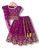 Babyhug Glass Woven Half Puffed Sleeves Floral & Sequin Embroidered Choli Lehenga Set with Dupatta - Wine