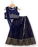 Babyhug Sleeveless Georgett Woven Foil Printed Choli Lahenga with Dupatta -  Navy