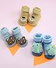 Yellow Bee Cotton Knit Pair of 3 Animal Applique Detailed Socks - Multi Colour
