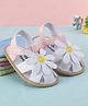 Babyoye Velcro Closure Booties with Floral Applique - Pink