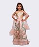 Elaisha Net Woven Sleeveless Floral Embroidered & Gota Lace Embellished Lehenga Set With Dupatta - Peach