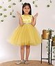 Toy Balloon Kids Net Woven Sleeveless Floral Applique Detailed Dress - Mustard Yellow