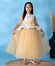 Toy Balloon Kids Net Woven Sleeveless Floral Printed Gota Lace Embellished Gown - Golden