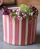 Weaving Homes Striped Planter - Magenta Indoor Planter With Magenta color
