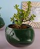 Weaving Homes Green Catfish Planter Indoor Planter With Green color