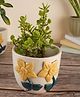 Weaving Homes Daisy Bloom Planter Indoor Planter With White color