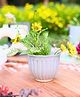 Weaving Homes Grey Planter Indoor Planter With Grey color