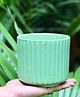 Weaving Homes Small Green Lined Planter Indoor Planter With Green color