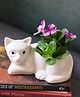 Weaving Homes Cat Succulent Planter Indoor Planter With White color