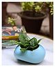 Weaving Homes Blue Pebble Planter Indoor Planter With Blue color