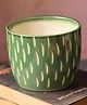 Weaving Homes Etching Green Planter Indoor Planter With Green color