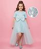 Hola Bonita Knit Half sleeves Party Dress & Skirt With Floral Sequin and  Shimmer Veil With Bow Applique - Light Blue