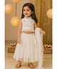 KIDSDEW Net Woven Sleeveless Cat Embroidered Tiered Lehenga Choli With Dupatta Set - White
