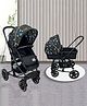 Golden Bee Royal Crown Stroller/Parm for Infant, 2 in 1 Transformable Seat(Stroller Cum Carry Cot), | 3-Position Recline System | Stroller for Toddlers, Baby Boy & Girl Age 0-3 Years (Black Galaxy)