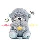 Kidology Baby Plush Toy Grey - Length 29 cm