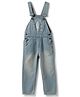 Tales & Stories Denim Woven Sleeveless Mild Washed & Surf Board Printed Dungaree - Blue