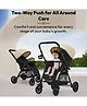 StarAndDaisy Foldable Baby Stroller with Storage basket, Multi-Level Recline & Adjustable Footrest, Safety Harness Belt -Khaki