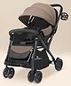 StarAndDaisy Foldable Stroller for 0-3 Years Baby with Adjustable Canopy & Lockable Wheels - Brown