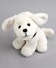 Play Nation White Plush Puppy Soft Toy with Collar 25cm - White| Super Soft Stuffed Dog for Kids| Cuddling and Comforting| Plush Toy for Gifting, Hugging| Home & Car Décor
