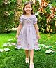 Tiny Twills Rayon Woven Half Puffed Sleeves Floral Embroidered Peter Pan Collar Paneled Dress - Lavender