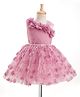 Bluebell Net Woven Sleeveless Frock With Floral Applique - Pink