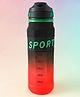 BPA-Free Straw Water Bottle with Measurement Markings 900ml - Black| Leak-Resistant| Drinking Bottle with Carry Strap for Gym, School & Travel