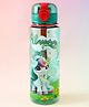 Unicorn Kids Sipper Bottle 700 ml - Green| BPA-Free| Leak Proof Water Bottle for Travel & Sports| Easy Flip Cap with Lock| Freezer Safe| School Bottle for Boys & Girls