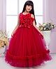 Tiny Kingdom Net Woven Sleeveless Floral Applique Detailed Gown - Red