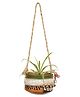 AAKRITI ART CREATIONS Jute Embellished Brown Hanging Earthen Planter