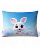 Baby of Mine Premium Baby Infant Pillow for kids - Imported Super Soft Fabric - Baby Rabbit