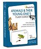 GrapplerTodd - Animals And Their Young Ones Activity Flashcards for Kids 24 Pieces - Multicolour