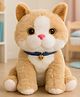 Besties Cute Cat Soft Toy Brown - Height 25 cm