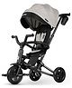 Qplay Trikes Nova Niello Grey 10 to 72 Months