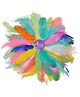 Asian Hobby Crafts Natural Dyed Feathers - Bright and Natural Multicolor, 50 Pcs