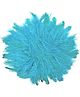 Asian Hobby Crafts Natural Dyed Feathers 80 Pieces for Craft Project, Hobby Creation and Dream Catcher Making | Bright and Premium Feathers for Decorations and Art Projects (Turquoise)