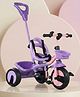 Plug & Play Kids Tricycle with Parental Push Handle - Pink & Purple| Safety Harness| High Backrest| Dual Storage Basket| Trike for Boys & Girls| Strong Durable Frame & Wheels