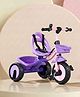 Plug & Play Kids Tricycle with Safety Harness - Pink & Purple| Strong Durable Frame & Wheels| Front & Rear Storage Basket| Trike for Boys & Girls| High Backrest
