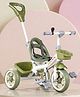 Plug & Play Kids Tricycle with Parental Push Handle - Green| Safety Harness| High Backrest| Dual Storage Basket| Trike for Boys & Girls| Strong Durable Frame & Wheels