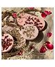 Pravaah India Organic Air Fresheners | British Rose | Set of 2 (Regular)