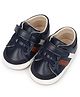 KIDLINGSS Colour Blocked With Velcro Closure Booties - Navy Blue