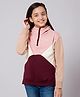 ALAN JONES Cotton Blend Knit Full Sleeves Colour Blocked Light Winter Hooded Sweatshirt - Multi Colour